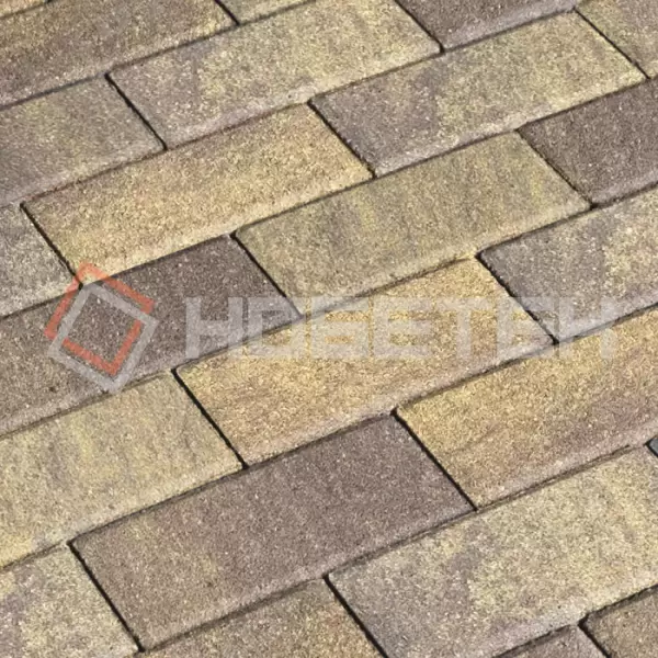 Брусчатка 2П6ф Нобетек 200*100*60 Колормикс 24 листопад купить в "Строй-Ресурсе"