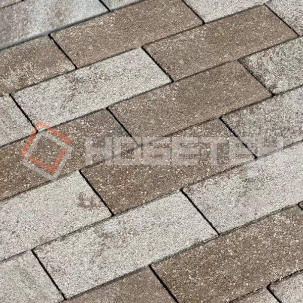 Брусчатка 2П6ф Нобетек 200*100*60 Колормикс 23 сафари купить в "Строй-Ресурсе"