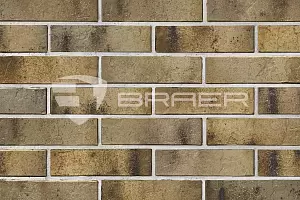 Кирпич облицовочный (промо) BRAER PRO 3/1.03, 1,0НФ фотография