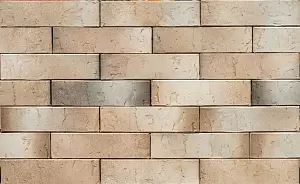 Кирпич облицовочный (промо) BRAER PRO 72/4.03, 1,0НФ фотография