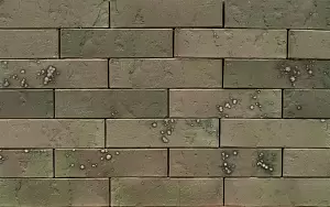 Кирпич облицовочный (промо) BRAER PRO T 7.03, 1,0НФ фотография