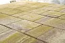 Тротуарная плитка Braer Старый город Ландхаус Color Mix Степь 60 мм купить в "Строй-Ресурсе"