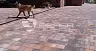 Тротуарная плитка Braer Старый город Ландхаус Color Mix Койот 60 мм купить в "Строй-Ресурсе"
