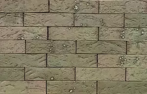 Кирпич облицовочный (промо) BRAER PRO T 7.08, 1,0НФ фотография