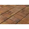 Тротуарная плитка Braer Прямоугольник Color mix Прайд 200*100*60 купить в "Строй-Ресурсе"
