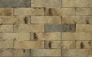 Кирпич облицовочный (промо) BRAER PRO 3/1.03, 1,0НФ фотография