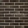 Кирпич лицевой 1 НФ BRAER PRO 78.09 купить в "Строй-Ресурсе"