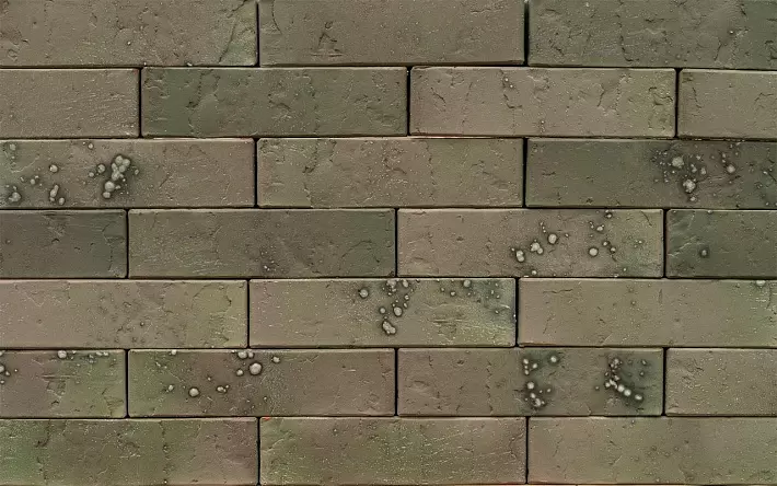 Кирпич облицовочный (промо) BRAER PRO T 7.03, 1,0НФ купить в "Строй-Ресурсе"