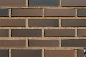 Кирпич лицевой VOLGABRICK М200 1,0НФ Амур гладкий купить в "Строй-Ресурсе"