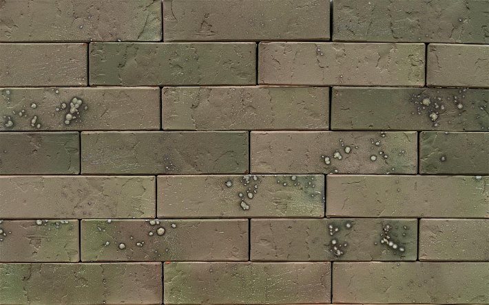 Кирпич облицовочный (промо) BRAER PRO T 7.03, 1,0НФ купить в "Строй-Ресурсе"