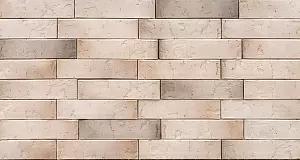 Кирпич рядовой BRAER PRO  М150 1,0НФ с бумагой в "Строй-Ресурсе" Кирпич рядовой BRAER PRO  М150 1,0НФ с бумагой купить в "Строй-Ресурсе"